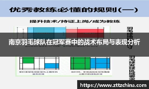 南京羽毛球队在冠军赛中的战术布局与表现分析